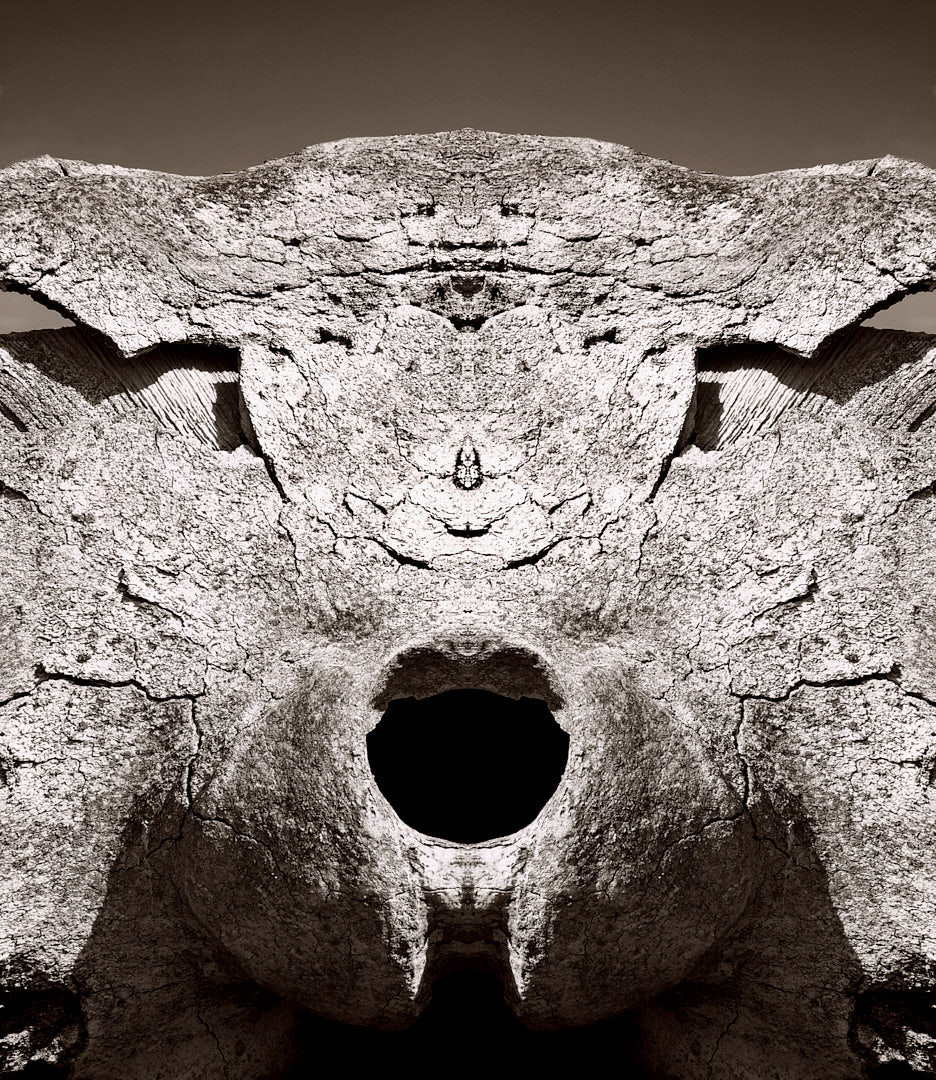 Symmetrically mirrored photograph of a weathered whale skull, its rough cracked bone forming an abstract structure around a dark circular opening at the center.