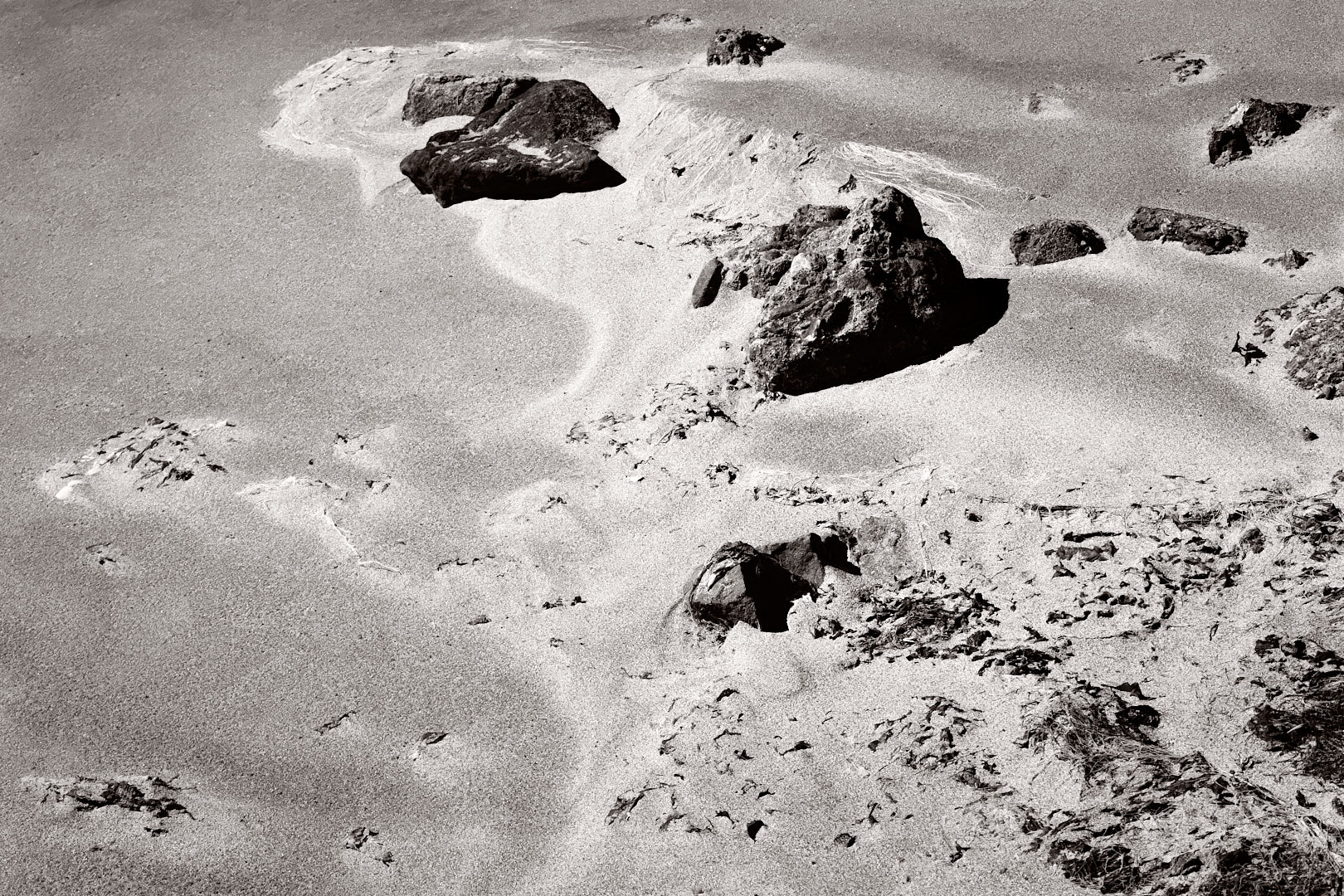 Black-and-white photograph of windblown sand flowing around scattered rocks and patches of vegetation on a beach, forming shapes that resemble a coastline or landmass seen from above.