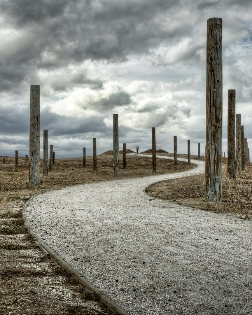 Photograph of a winding path moving through a field of tall weathered wooden poles beneath dramatic storm clouds, with a small solitary figure walking uphill in the distance.