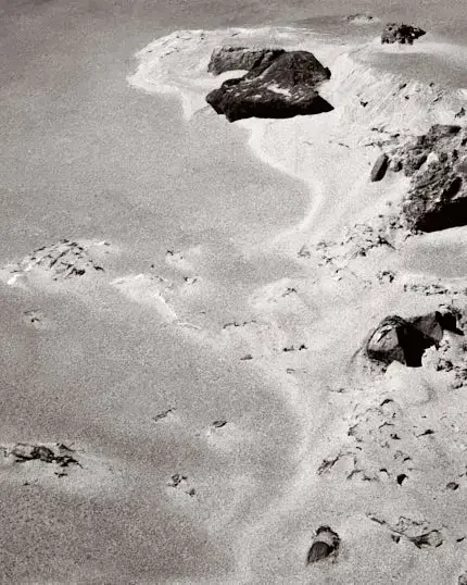 Monochrome landscape of scattered dark rocks and faint tracks across a pale, textured surface.